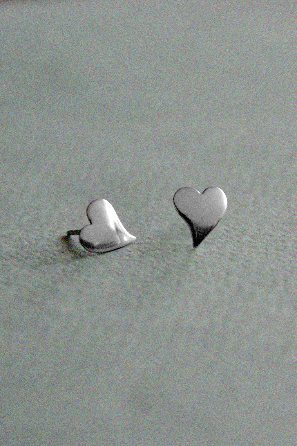 Wild Heart Studs